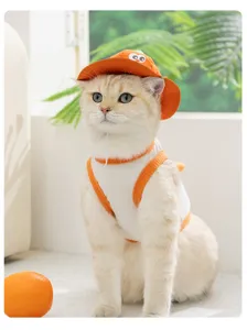 Detailed view of cute cat wearing orange sun hat and vest, soft pet apparel for summer.