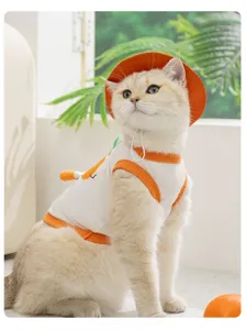 Cute cat wearing orange bucket hat and carrot patterned vest, perfect detail shot for pet clothing.