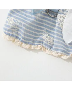 Dettaglio ravvicinato di grazioso vestito a righe per animali con ricamo floreale e bordo in pizzo.