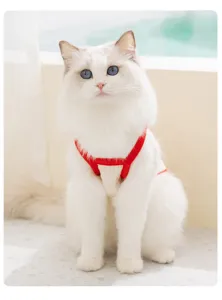 Breathable summer cat strap clothes, cute two-legged pet apparel for kittens and adult cats.
