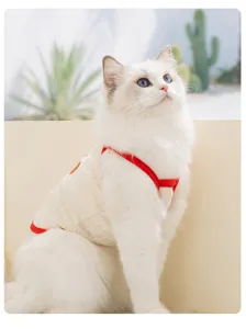 Breathable summer pet sling clothes for cats, cute two-leg vest apparel in light color.
