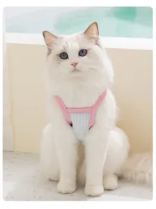 Adorable cat wearing breathable summer mesh pet strap harness, detailed product view.