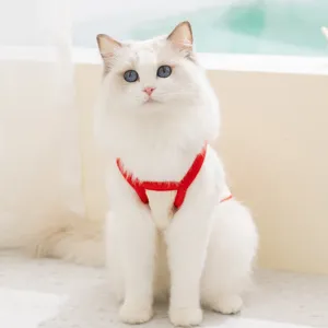 Cute breathable summer pet cat sling clothes, lightweight two-legged apparel for cats and kittens.