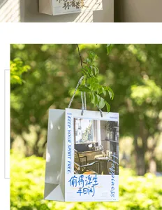 Literarische, heilende Papiertragetasche mit Henkeln, ideal fur Geschenke und Verpackungen.
