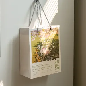 Künstlerische Geschenktüte aus Papier mit geflochtenen Griffen für Geburtstage und Feiertage.