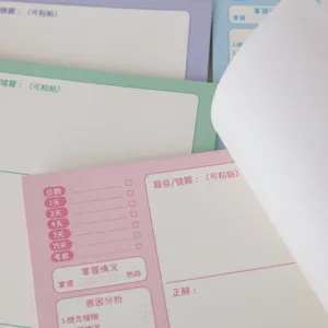Cahier d'erreurs B5 étudiant bloc-notes pastel détachable mémo révision papeterie