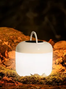 Linterna de camping LED recargable portatil luz nocturna para tienda de exterior y dormitorio.
