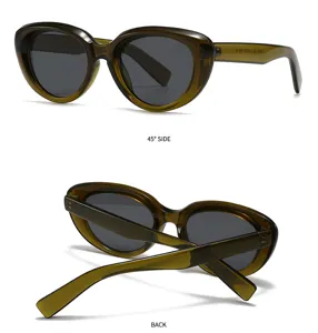 Vintage cat-eye sunglasses for women and men, stylish thick frame shades for street fashion.