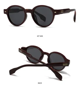 Lunettes de soleil polarisées rondes rétro pour hommes et femmes, lunettes UV élégantes vintage.