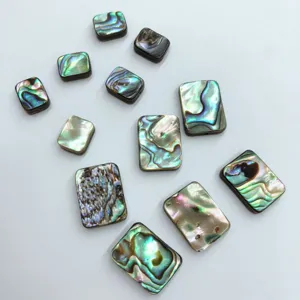 Abalone Muschel rechteckige Cabochons für DIY Schmuckherstellung bunte Muschel Einlage.
