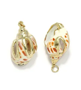 Gold edged natural seashell pendant detail showing polished metal and unique shell pattern texture