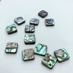 Natürliche Abalone Muschel quadratische Cabochons für DIY Schmuckherstellung und Ringeinlage.