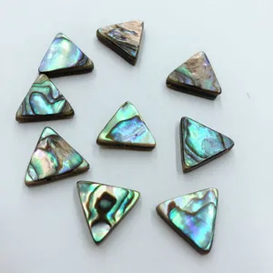 Detailansicht dreieckiger Abalone Muschel Platten mit natürlicher irisierender Farbe für Schmuck.