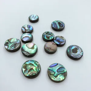 Abalone Muschel runde Cabochons Flachrücken Aufnäher für Schmuck DIY Handwerk Ring Einlage.