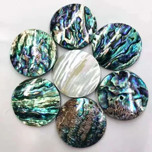 Natural New Zealand Abalone Shell Pendant Round DIY Jewelry Making Accessories Colorful Sea Shell Charm Craft Component