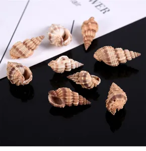 Natural Auger Shells with Side Hole DIY Fish Tank Landscaping Micro Landscape Craft Accessories