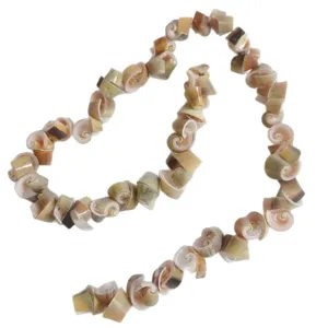 Natural Peacock Shell Conch Slice Chain Irregular Spiral Beads DIY Handmade Jewelry Accessories Bag Hanging Ornaments