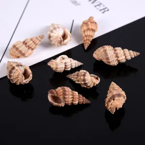 Natural tower shells with drilled holes for DIY craft, fish tank decor, and jewelry accessories.
