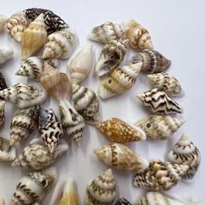Natürliche Muschelperlen kleine gebohrte Kornoschmuck Basteln Großhandel Details Ansicht