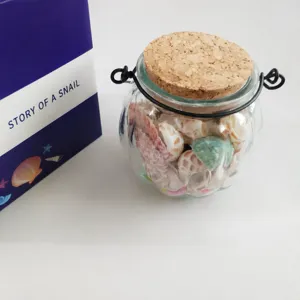 Glass seashell wishing bottle with cork lid and metal handle for DIY beach crafts and decor