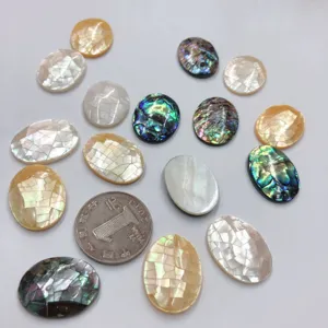 Pièces d'Incrustation en Mosaïque de Coquillage d'Abalone Naturel Ovale Carré Couleur Mélangée Décor de Table Cadre Photo Accessoires DIY