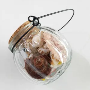 Glass wishing bottle with natural seashells, hanging cork jar for beach decor and DIY crafts.