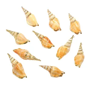 Gold plated natural seashell pendants for DIY jewelry making necklaces bracelets charms 9pcs