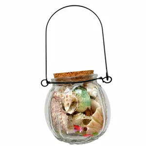 Handmade seashell glass hanging bottle DIY wishing bottle beach landscape aquarium decoration