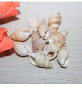 Natural striped conch seashell beads with drilled holes for DIY jewelry making and craft accessories.