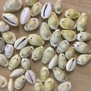 Close-up of natural cowrie shell beads, ideal for DIY jewelry craft and home decor.