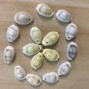 Natural cowrie shell beads with drilled holes, perfect for DIY jewelry craft and home decor.
