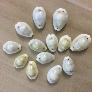 Natural yellow cowrie shell beads with double holes, perfect for DIY jewelry and crafts.