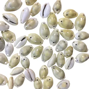 Natural cowrie shell charms beads for DIY jewelry making crafts home decor accessories.