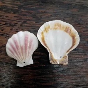 Accessoire de bricolage en coquille de pétoncle naturelle pour la décoration et rideau.