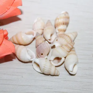 Natural Seashell Beads Loose Shell Charms Side Hole Yellow Rice Snail For DIY Jewelry Making Beach Craft Accessories