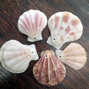 Coquillages Naturels Coquilles Saint-Jacques en Vrac pour Rideau Décoration d'Intérieur et Accessoires de Fabrication de Bijoux DIY