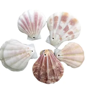 Pendentifs coquillage naturel coquillages troués pour rideau bricolage déco maison