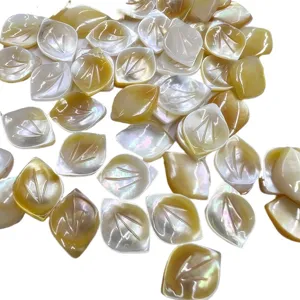 Charmes de coquillage de feuille sculptée en nacre naturelle pour bijoux faits à la main.