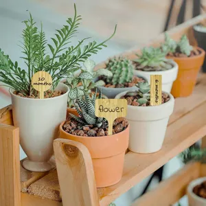 Eco-friendly bamboo plant labels and T-shaped wooden garden tags for potted plants