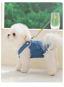 Details of cute denim polka dot dog dress with lace trim, perfect for small pets spring wear.