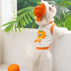 Nahaufnahme der atmungsaktiven Sommer-Haustierweste mit Kürbis-Design und passendem Hut für Hunde.