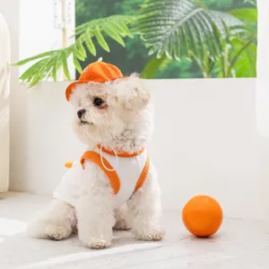 Nahaufnahme der atmungsaktiven Welpenweste mit süßem Orangenhoot in heller Haustierszene.