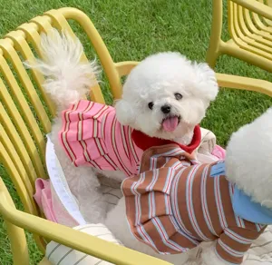 Primer plano de detalle del vestido polo a rayas para mascotas, bonito diseño plisado.