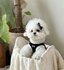 Breathable summer pet vest for small dogs and cats, cute black and white heart design.