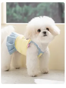 Süßes Welpenkleid Frühling Sommer atmungsaktive Haustierkleidung mit Plissee für kleine Hunde