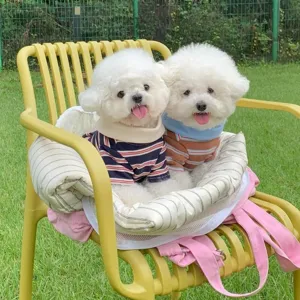 Bonita ropa a rayas para perros con cuello polo, vestimenta transpirable para mascotas en verano.