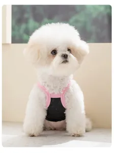 Süßer Hund in atmungsaktivem Sommer Hundekleid Detailaufnahme, ideal für kleine Hunde im Frühling.