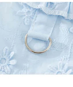Haustierkleidung Detail, hellblaues Prinzessin-Stil Hunde- Outfit mit floraler Stickerei.