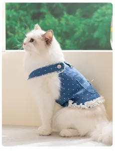 Katzen Jeans Geschirr Kleid mit weissen Punkten und Spitzenbesatz, idealer Fruehling.