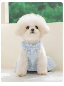 Hübsches sommerliches Haustier-Prinzessinnenkleid für kleine Hunde, hellblaues Spitzen-Design.